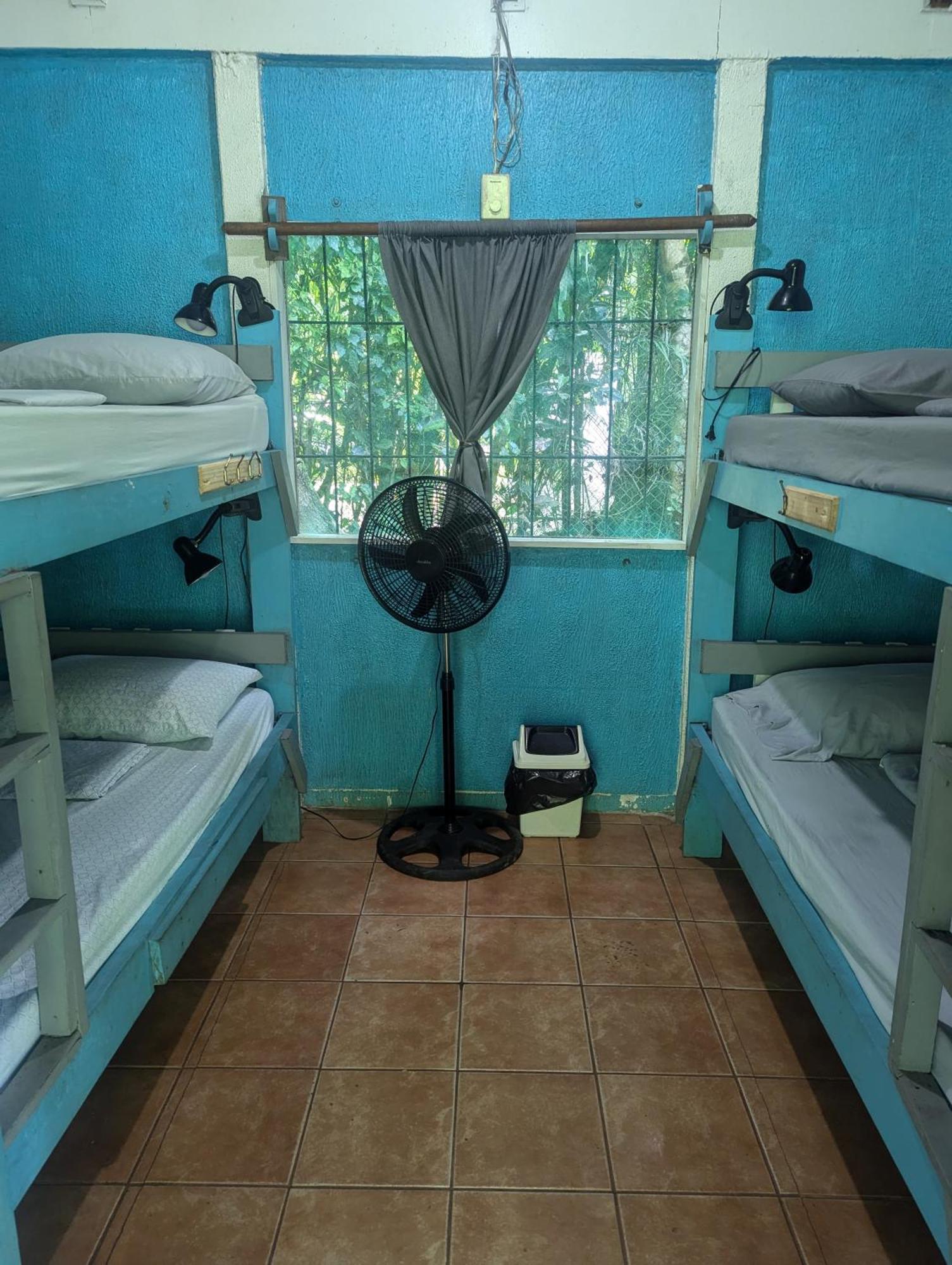 Tasty Dayz Hostel Puerto Viejo de Talamanca Екстер'єр фото