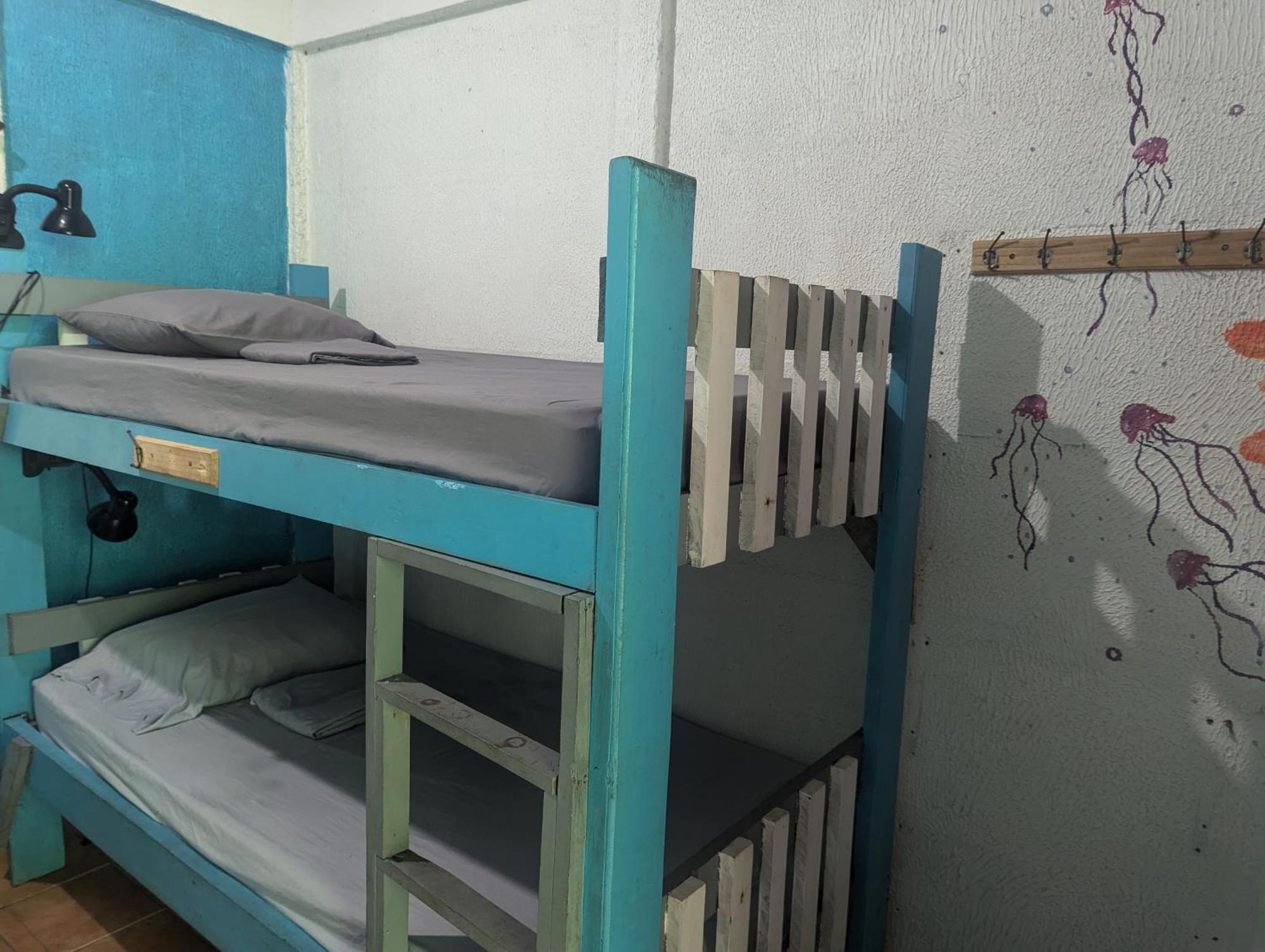 Tasty Dayz Hostel Puerto Viejo de Talamanca Екстер'єр фото