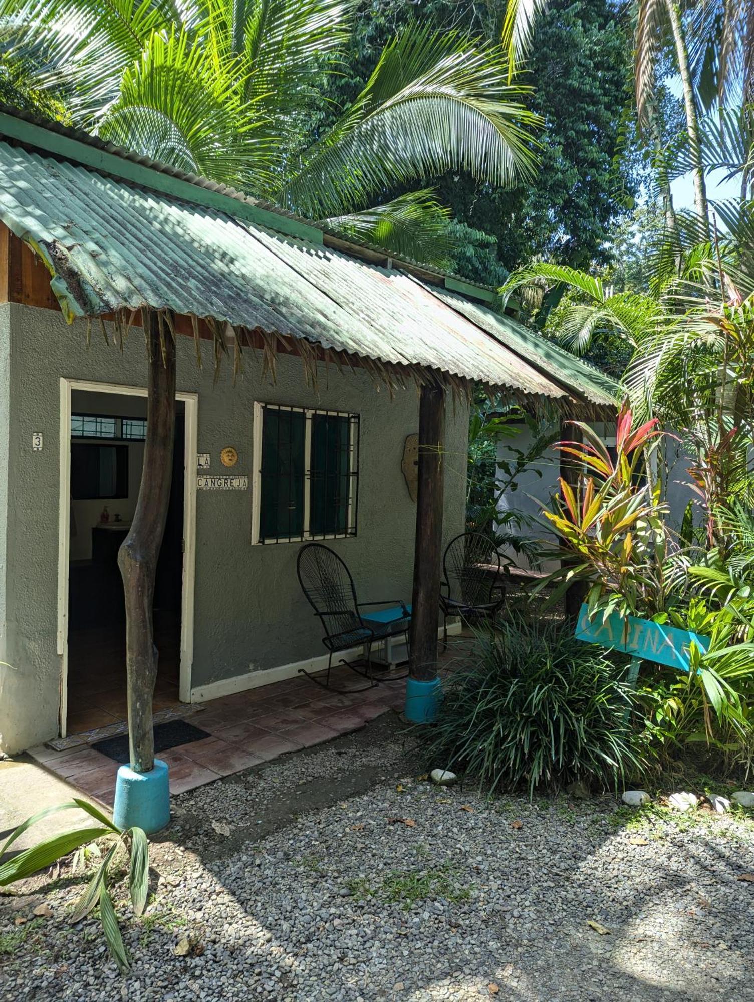 Tasty Dayz Hostel Puerto Viejo de Talamanca Екстер'єр фото