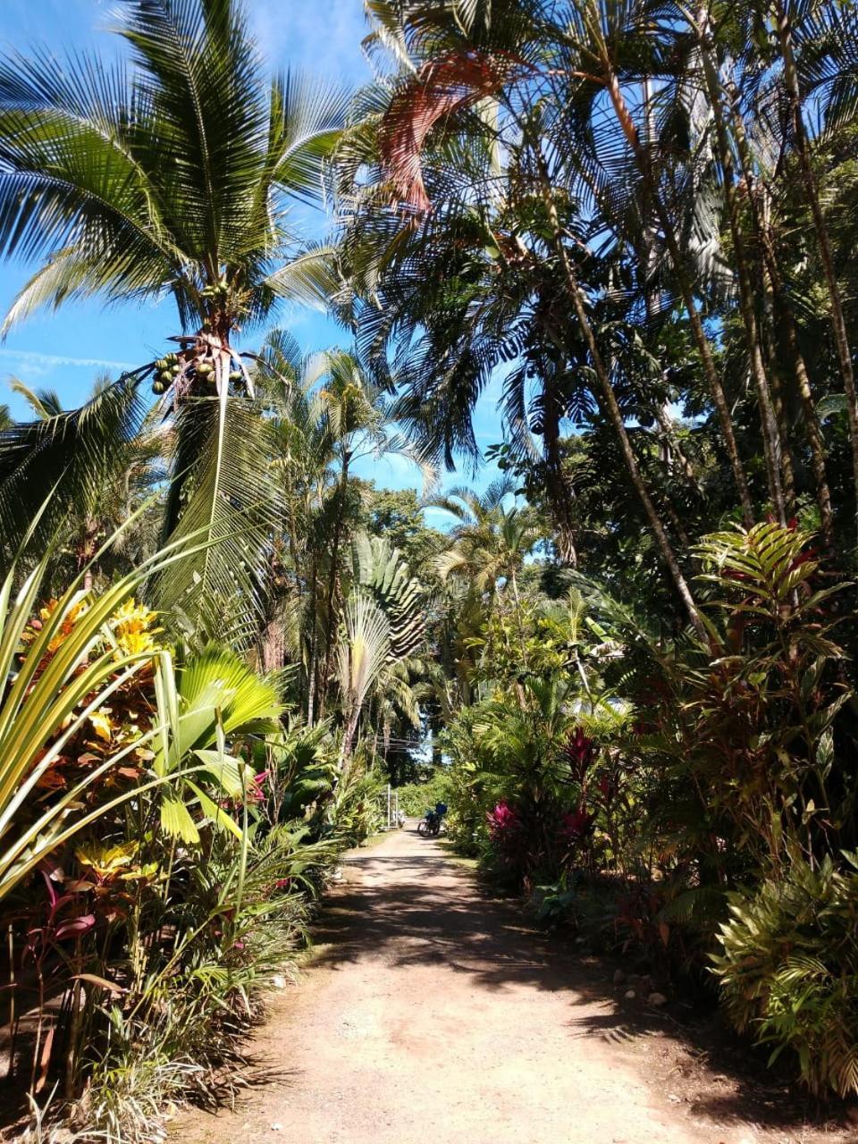 Tasty Dayz Hostel Puerto Viejo de Talamanca Екстер'єр фото