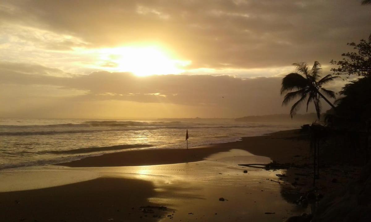 Tasty Dayz Hostel Puerto Viejo de Talamanca Екстер'єр фото