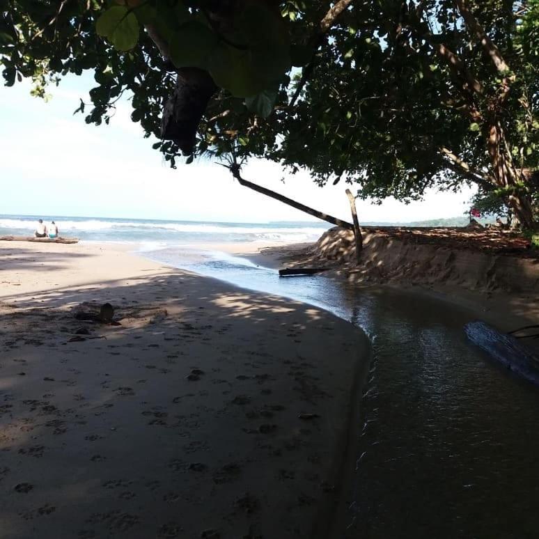 Tasty Dayz Hostel Puerto Viejo de Talamanca Екстер'єр фото