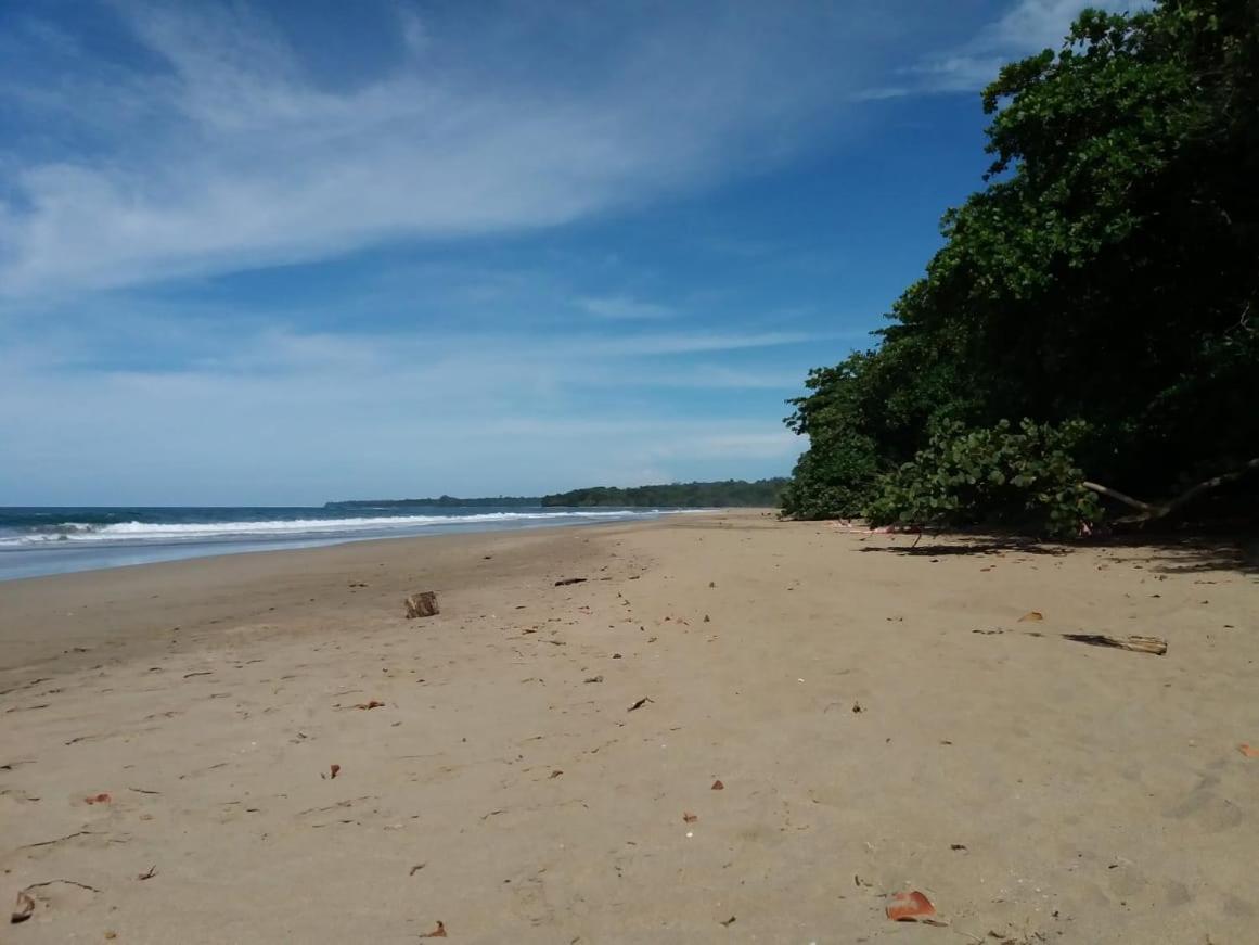 Tasty Dayz Hostel Puerto Viejo de Talamanca Екстер'єр фото