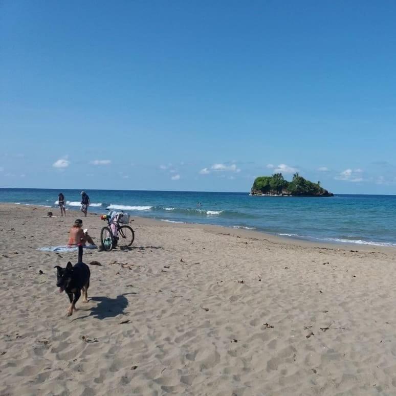 Tasty Dayz Hostel Puerto Viejo de Talamanca Екстер'єр фото