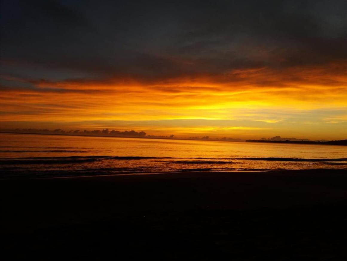 Tasty Dayz Hostel Puerto Viejo de Talamanca Екстер'єр фото
