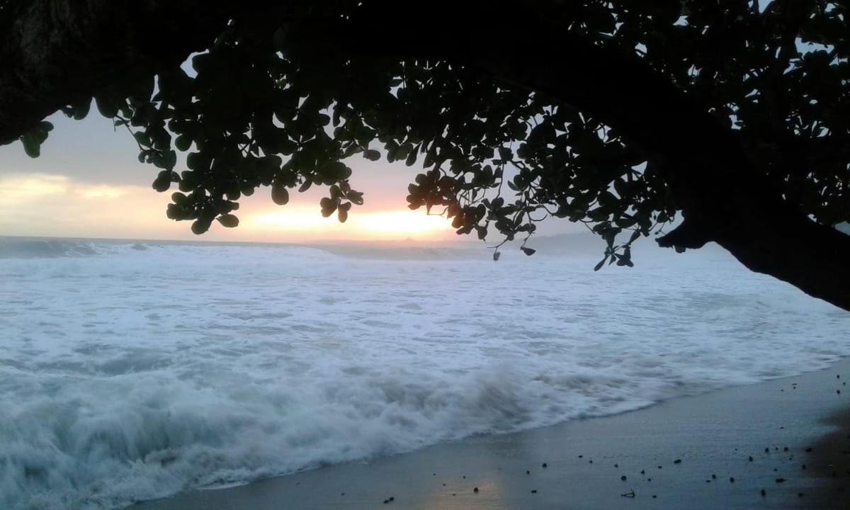 Tasty Dayz Hostel Puerto Viejo de Talamanca Екстер'єр фото