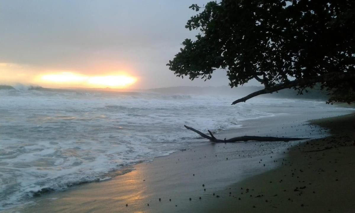 Tasty Dayz Hostel Puerto Viejo de Talamanca Екстер'єр фото
