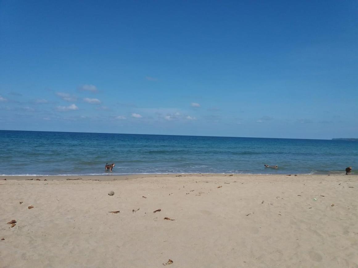 Tasty Dayz Hostel Puerto Viejo de Talamanca Екстер'єр фото