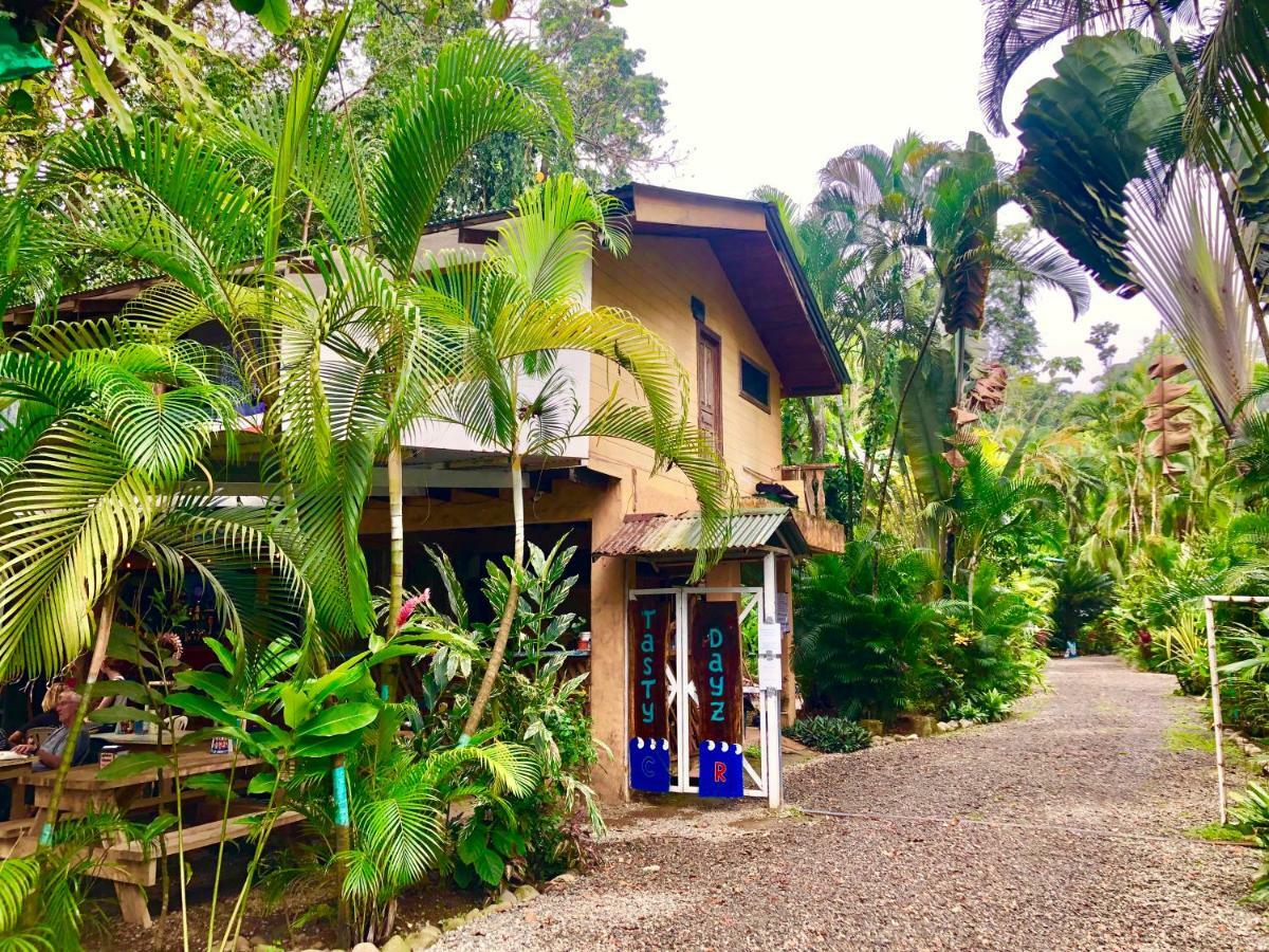 Tasty Dayz Hostel Puerto Viejo de Talamanca Екстер'єр фото