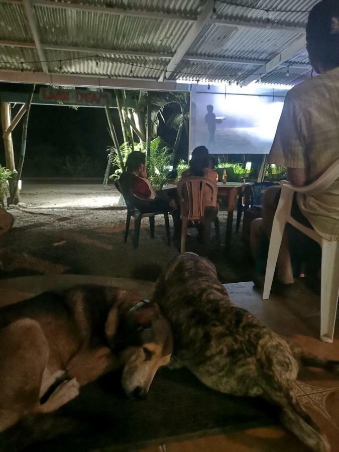 Tasty Dayz Hostel Puerto Viejo de Talamanca Екстер'єр фото