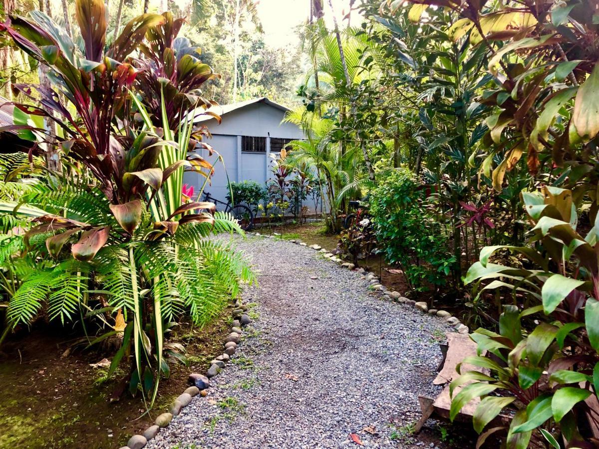 Tasty Dayz Hostel Puerto Viejo de Talamanca Екстер'єр фото