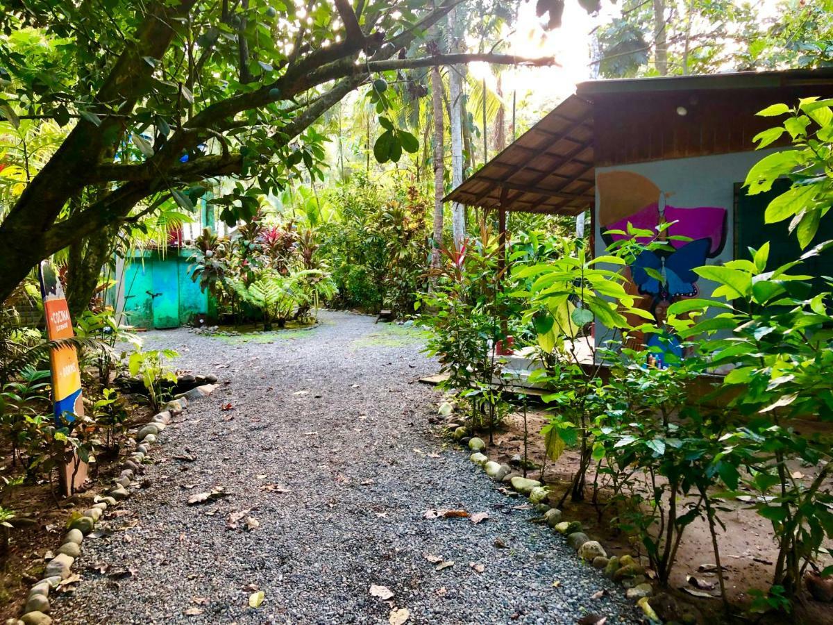 Tasty Dayz Hostel Puerto Viejo de Talamanca Екстер'єр фото