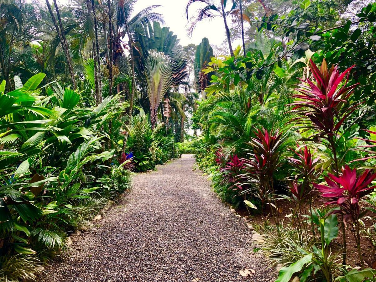 Tasty Dayz Hostel Puerto Viejo de Talamanca Екстер'єр фото