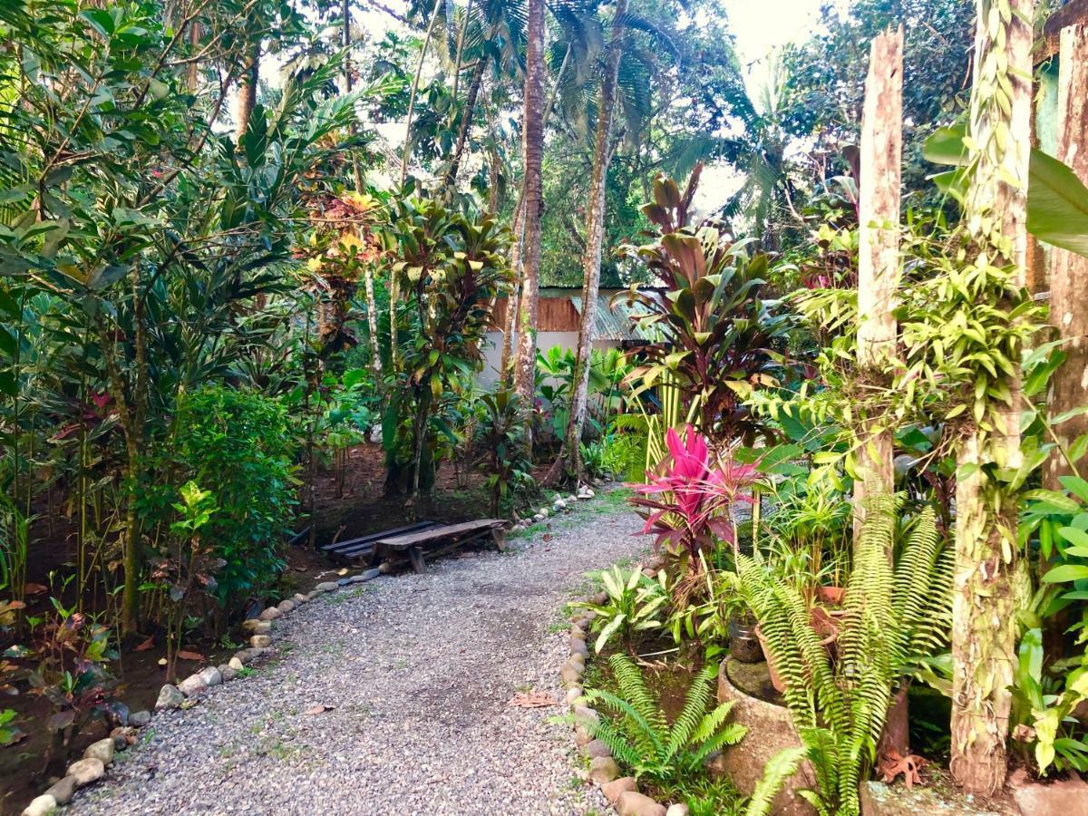 Tasty Dayz Hostel Puerto Viejo de Talamanca Екстер'єр фото